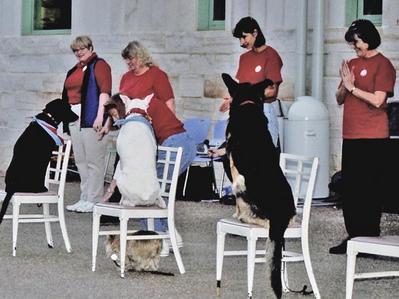 Dog Drill Team