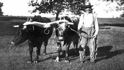 Farmer  