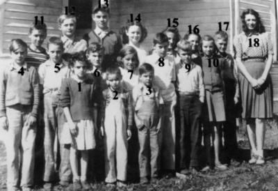 Linden Class  