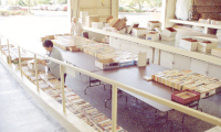 Book Sale  